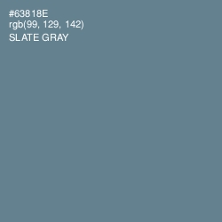 #63818E - Slate Gray Color Image
